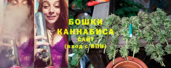 шишки Абаза