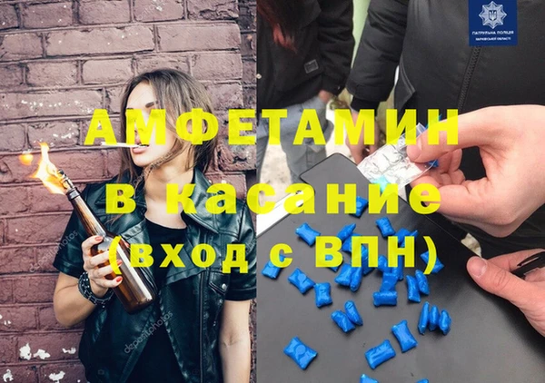шишки Абаза
