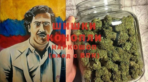 шишки Абаза