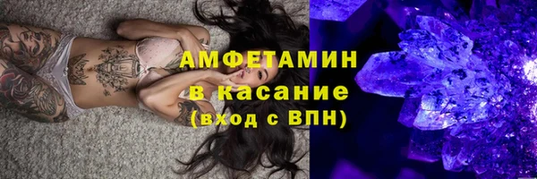 шишки Абаза